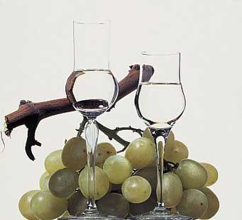 Grappa