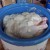 Empty the can onto the chicken Empty the can onto the chicken