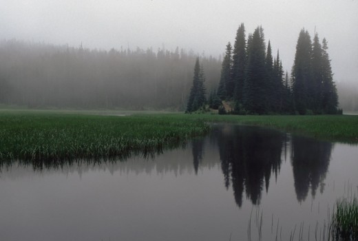 Fish Lake the next morning in the fog.