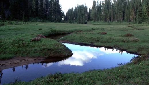 Stream in meadow flowing out of Anderson Lake.