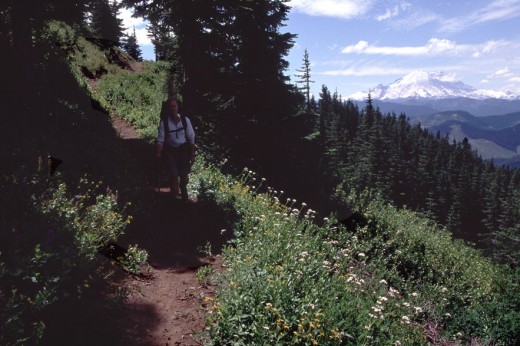 Looking south to Mt. Rainier from Blowout Mountain.
