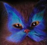 HubPages profile picture for @copycat