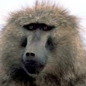 gwinto500 profile image
