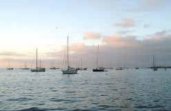 Dusk to Dawn on the Sea of Cortez
