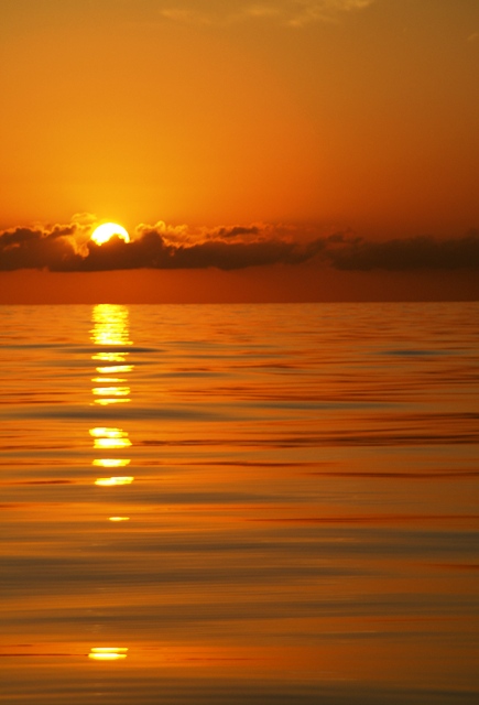 Sunrise on an oily sea, eighty miles out, halfway between Muertos Bay and Mazatlan - Sea of Cortez 