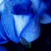 bevnsal profile image