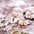 Badlands...notice the petrified logs that have fallen and broken Badlands...notice the petrified logs that have fallen and broken