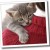 Image from the ASPCA Image from the ASPCA