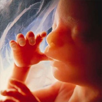 Its by Your hand I have been formed...