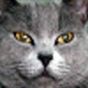KAZZY4 profile image