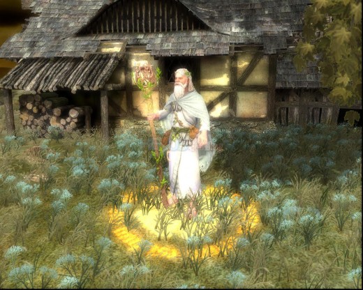 Image Source :- http://img.hexus.net/v2/gaming/screenshots_pc/warhammer/war6_large.jpg