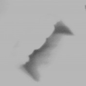 Spoo profile image