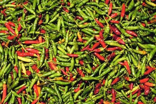 Peppers to fuel a chili-head or ease your pain with capsaicin.