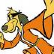 Grass_hopper profile image