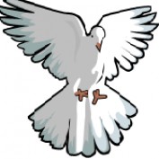 edundayo profile image