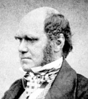 Darwin at 51