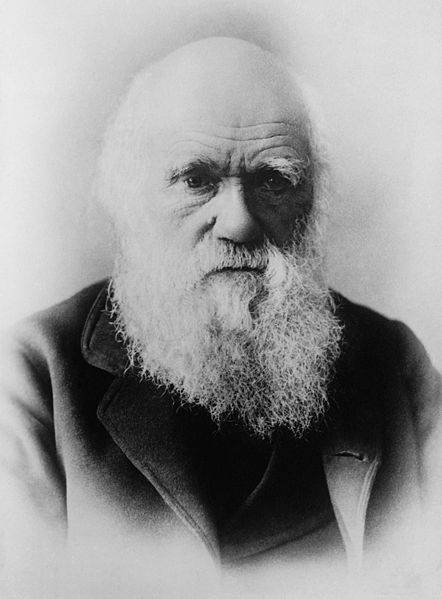 Darwin near the end of his life