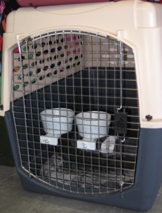 Dog Crate Accessories: Food & Water Cups