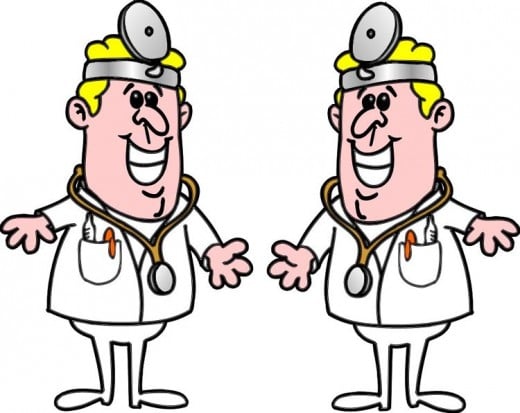 Fig. 1    A Twin Pair of Docs