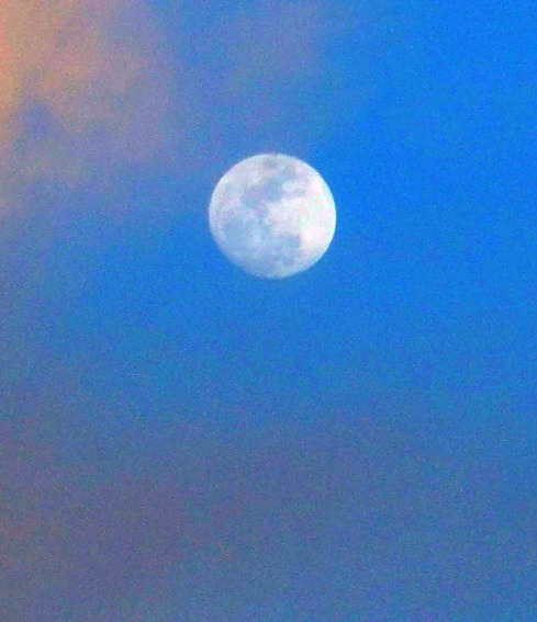 Full Moon at Solstice by Lindsay S Godfree