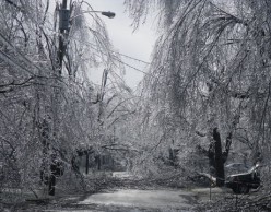 Reduction in Council Tax, please