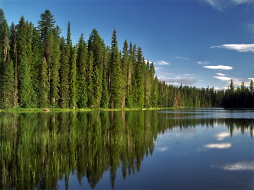 Our view of Island Lake the next morning.
