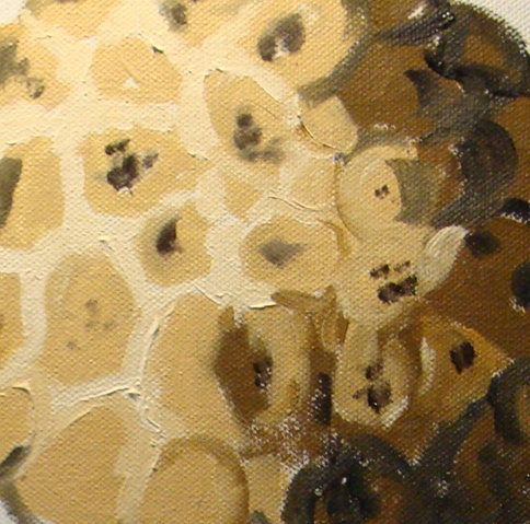 Texture painting of a custard apple