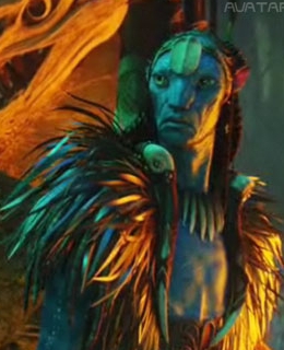 Eytucan is the chef of the Na'vi and Neytiri's father. 