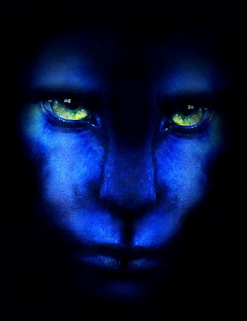 Jake Sully's Avatar Picture