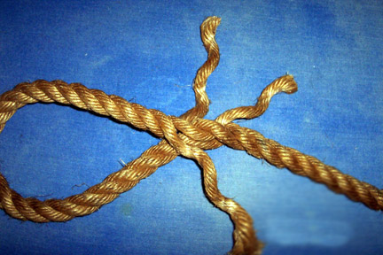 Twist up a loop and insert one of the strands under the loop.