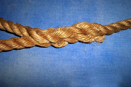 Twist open the strands of the shaft again and push each end strand over the adjacent shaft strand and under the next one.  Do all three and you've finished the splice.