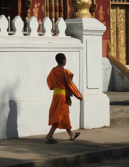 Young monk, Luang Prahbang, Laos Photo: Lissie