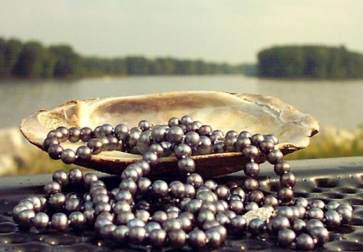 Lustrous pearls on the half-shell from thesimplefrontporch.wordpress.com