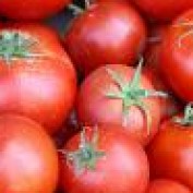 Growing Tomatoes profile image