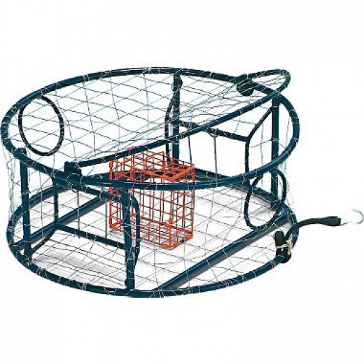 How to Catch Dungeness Crab Pots, Bait, and Strategies SkyAboveUs