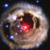 Sophia10 profile image
