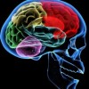 Dr. Common Sense profile image