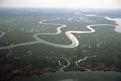 The aerial view of River Amazon