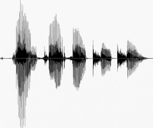 Voice Pattern