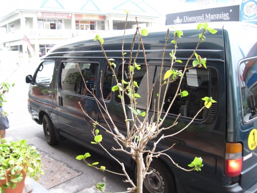 The bus that brought us back from Hell - the Grand Cayman municipal bus system is made up of Toyota Minibuses 