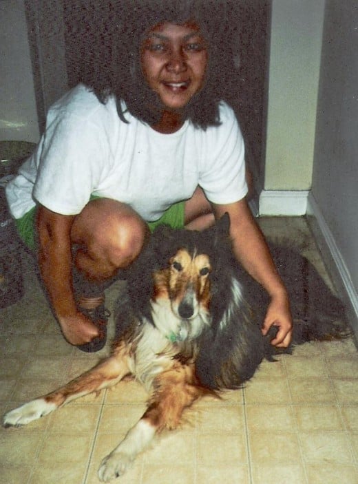 NY pet