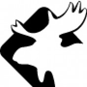 phase2studio profile image