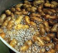 Southern Culinary Arts: Boiled Peanuts