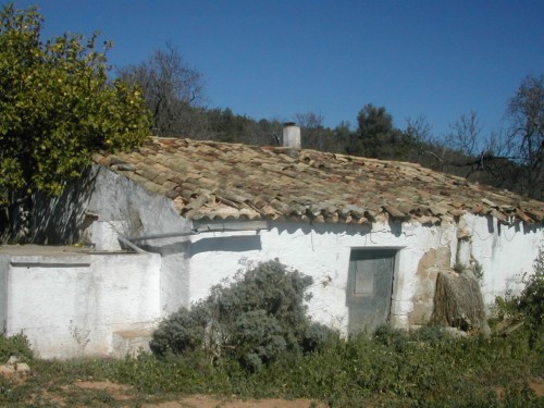 Ruin with potential