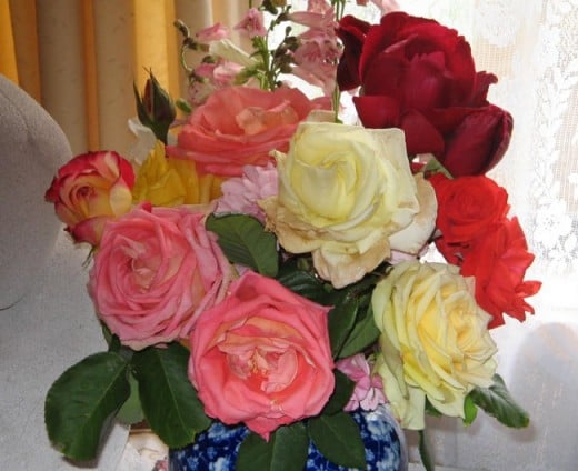Roses from our Garden
