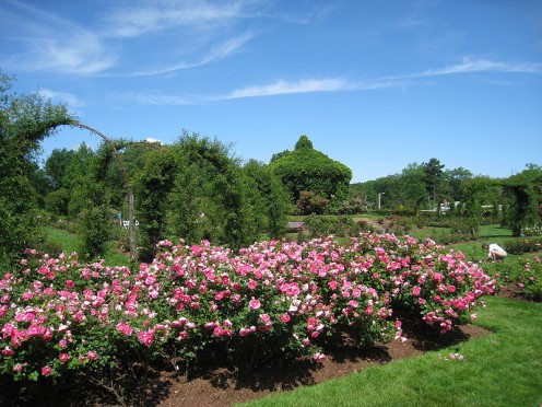 Elizabeth Park in Hartford, Connecticut