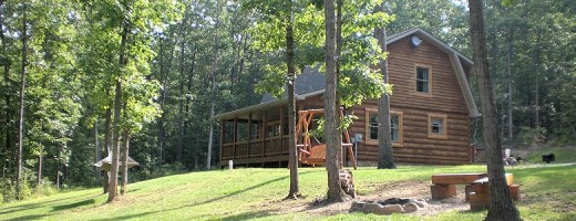 Wild Vines Log Cabin