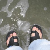 thebloggertips profile image