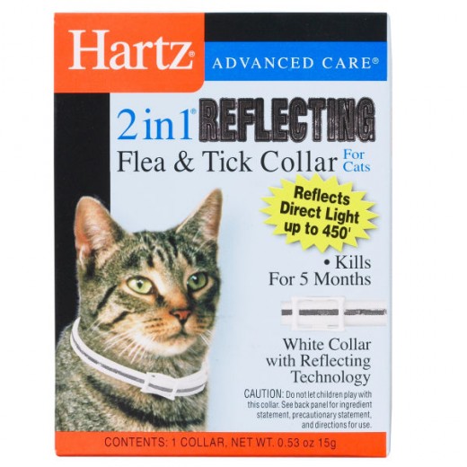 Hartz cat flea collars aren't the safest method of flea prevention