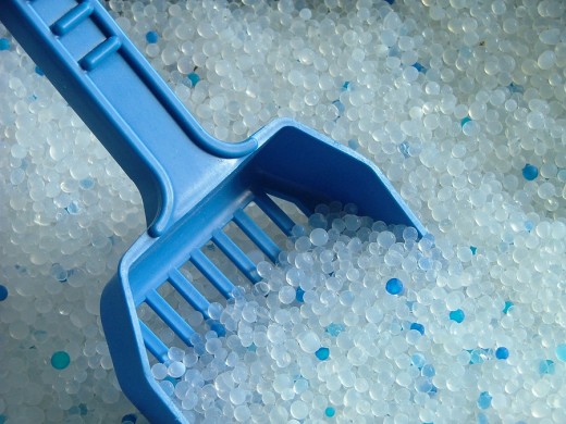 Cat Litter Has Come a Long Way, Baby!